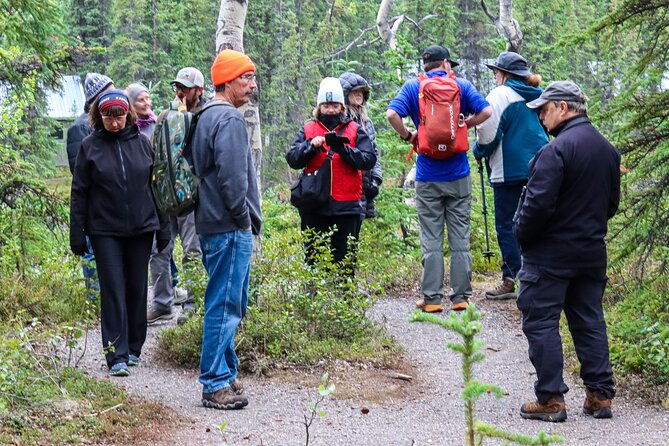 denali-nature-hike