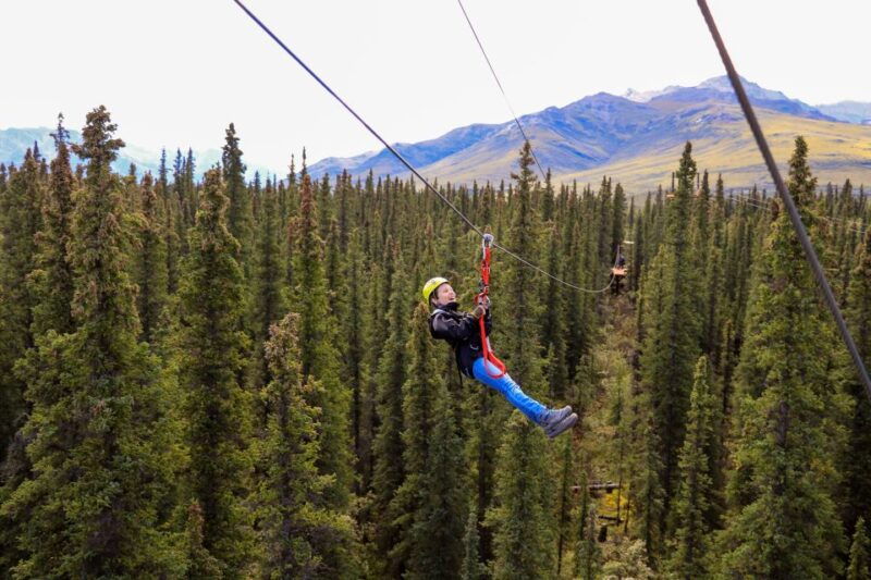 denali-park-zipline-adventure-2