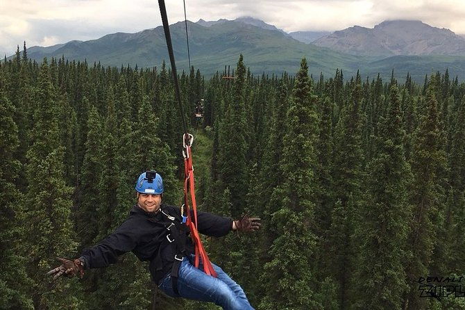 denali-park-zipline-adventure