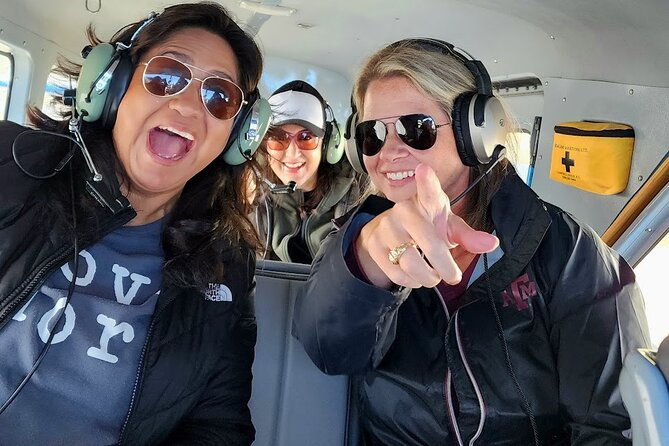 denali-southside-adventure-flightseeing-tour-from-talkeetna