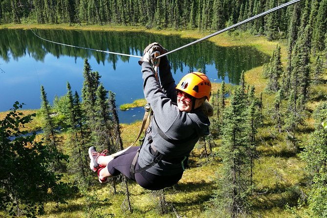 denali-zipline-tour-in-talkeetna-ak