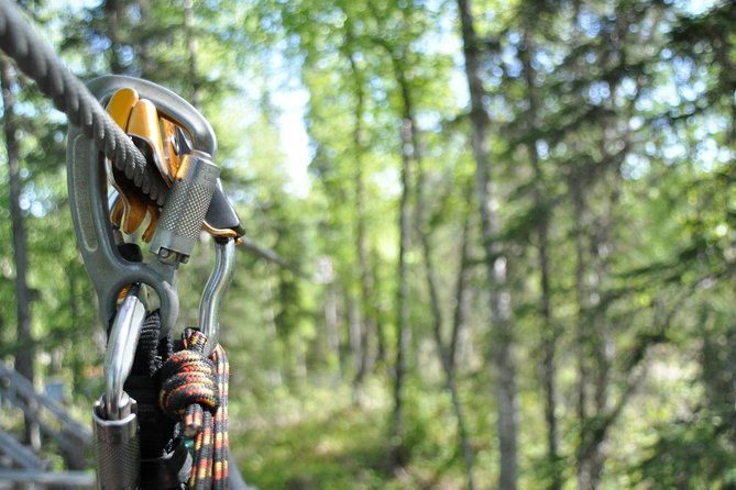 denali-zipline-tour-in-talkeetna-ak