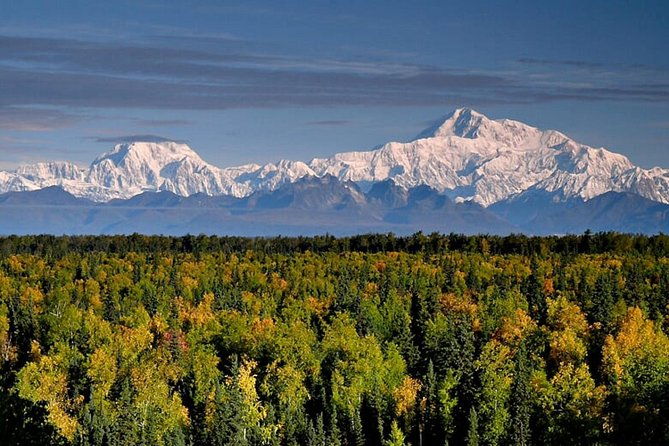 denali-zipline-tour-in-talkeetna-ak