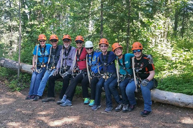 denali-zipline-tour-in-talkeetna-ak