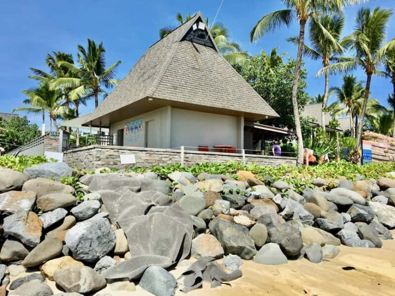 Denarau Island to Natadola Beach Round Trip - Frequently Asked Questions