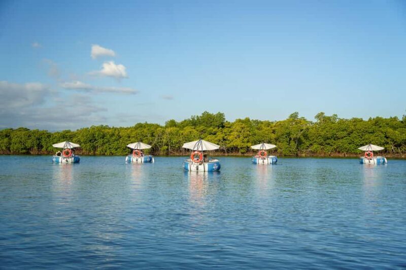 Denarau: Self Drive BBQ eBoat Cruise with Onboard BBQ Fiji - Denarau: Self Drive BBQ eBoat Cruise with Onboard BBQ Fiji