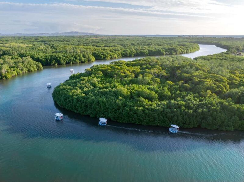 Denarau: Self Drive BBQ eBoat Cruise with Onboard BBQ Fiji - Key Points