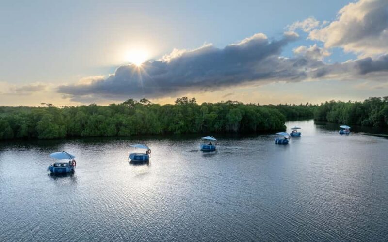 Denarau: Self Drive BBQ eBoat Cruise with Onboard BBQ Fiji - Why This Tour Works Well