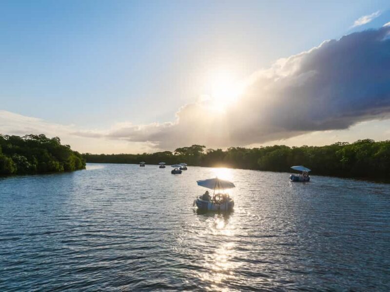 Denarau: Self Drive BBQ eBoat Cruise with Onboard BBQ Fiji - The Sum Up