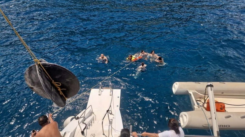 Denia/Jávea: a day at sea with paella on Isla Portitxol - Who Will Love It?