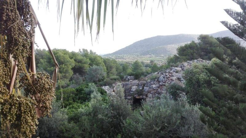 denia-lalbarda-garden-entry-ticket
