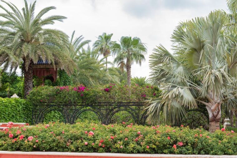 denia-lalbarda-garden-entry-ticket
