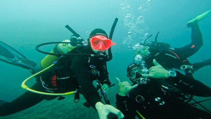 denia-the-fascination-of-diving-on-the-costa-blanca