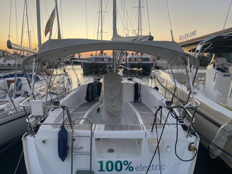 denia-whale-and-dolphin-watching-morning-experience