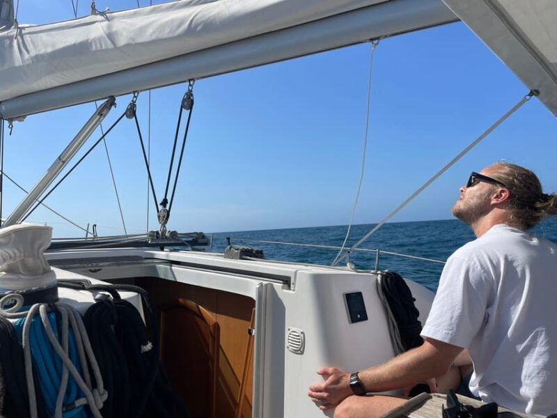 denia-whale-and-dolphin-watching-morning-experience