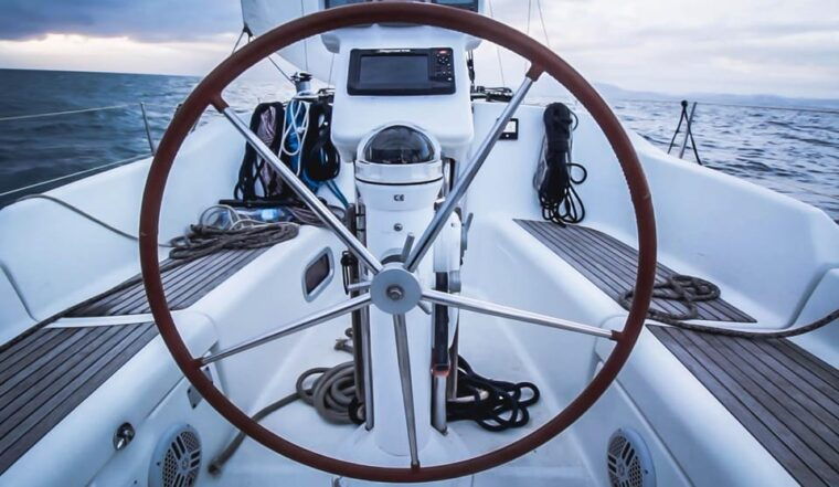 denia-whale-and-dolphin-watching-morning-experience