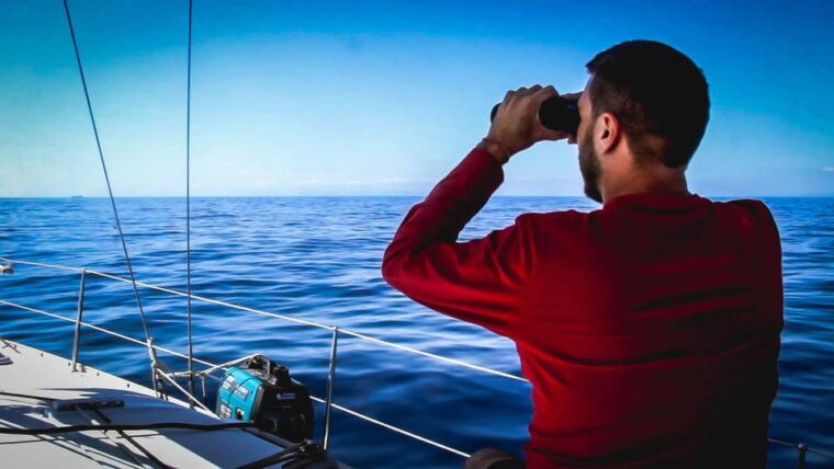 denia-whale-and-dolphin-watching-morning-experience