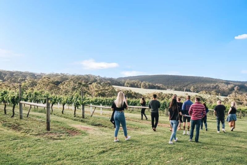 Denmark: A Sense of Place Singlefile Wines Tour & Tasting - Discovering Singlefile Wines and the Great Southern Region
