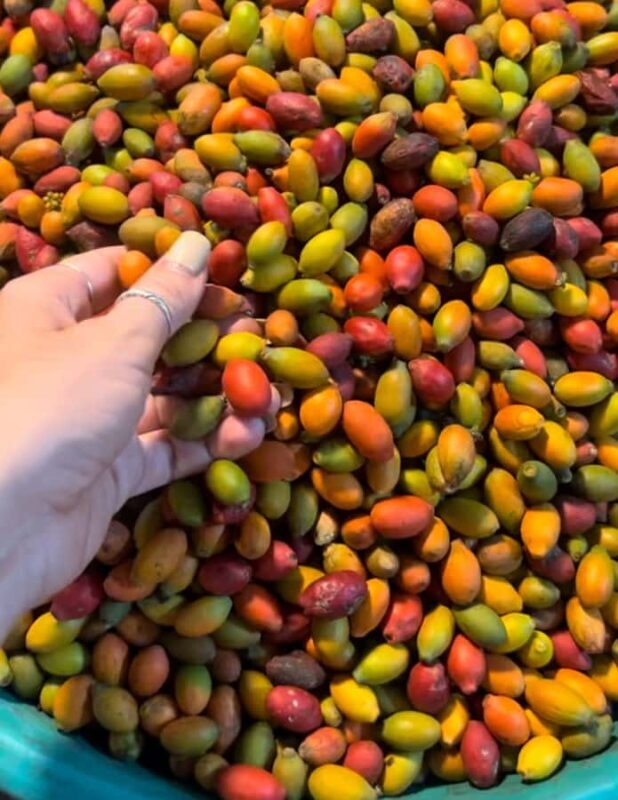 Denpasar Night Market Food Tour - Final Thoughts on Value