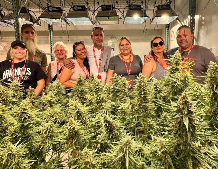 denver-cannabis-tour-with-grow-facility-access