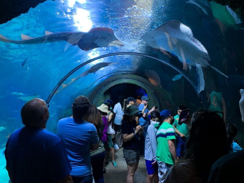 Denver: Downtown Aquarium All-Day Pass - What Makes the Downtown Aquarium Stand Out