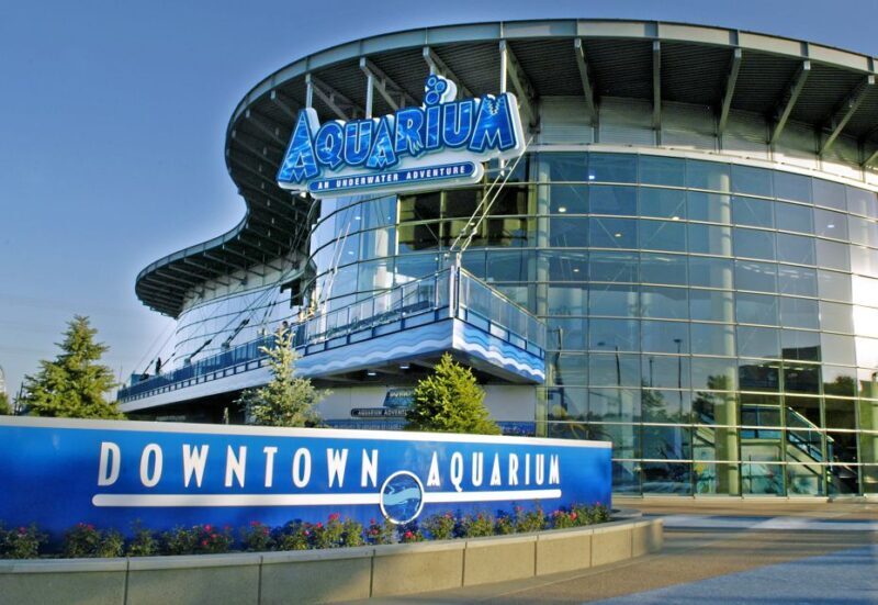 Denver: Downtown Aquarium All-Day Pass - Is It Worth the Price?