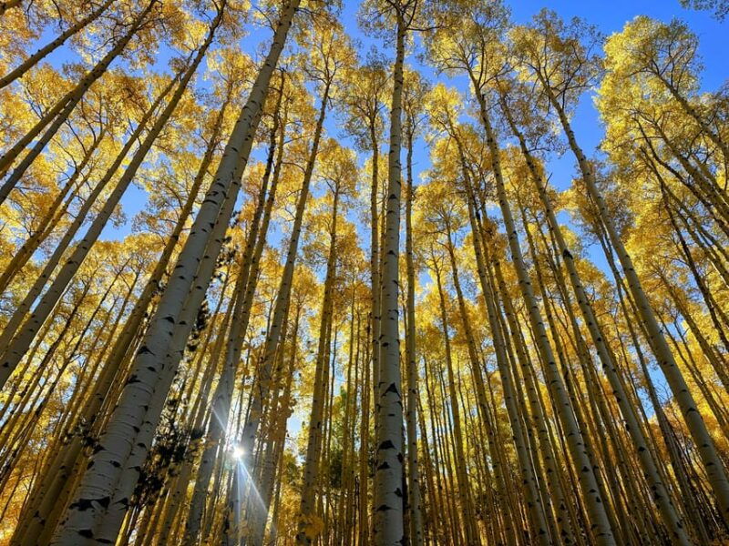 denver-guided-hiking-tour-mountain-town-exploration