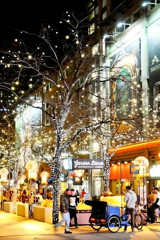 denver-holiday-lights-sights-bus-tour