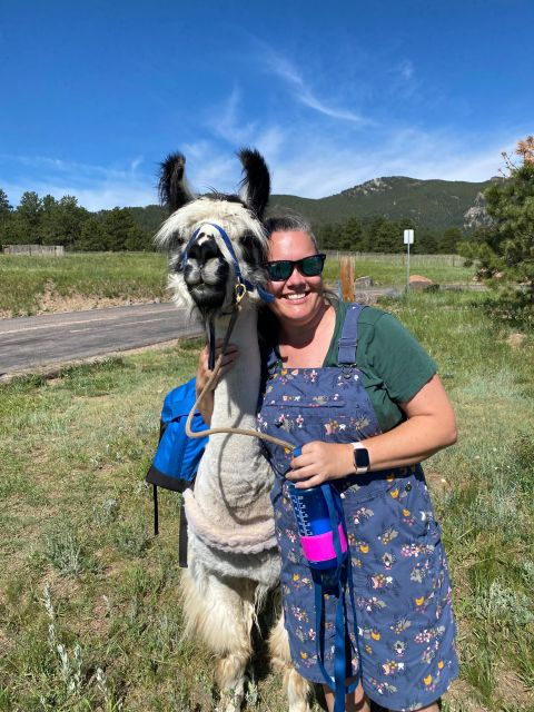 denver-llama-hike-in-the-rocky-mountains