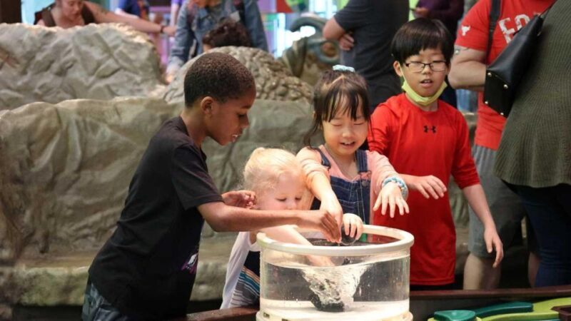 Denver: Museum of Nature and Science Entry Ticket - Authentic Visitor Insights