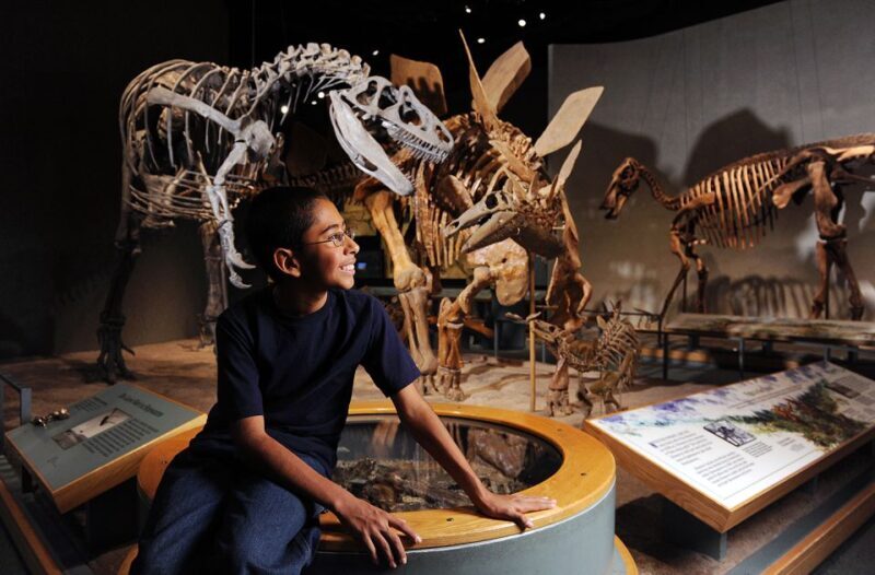 Denver: Museum of Nature and Science Entry Ticket - FAQ