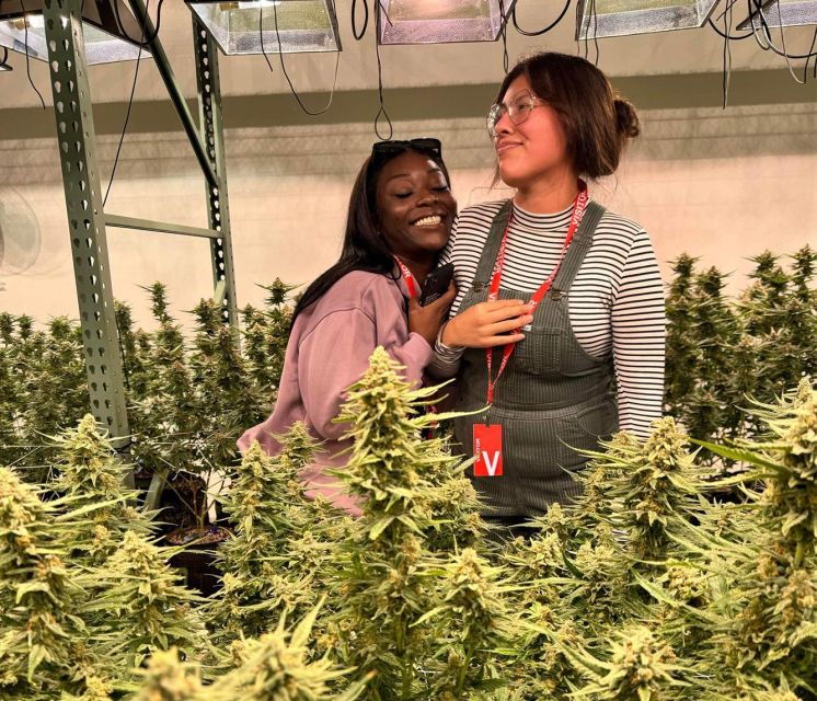 denver-private-luxury-cannabis-tour