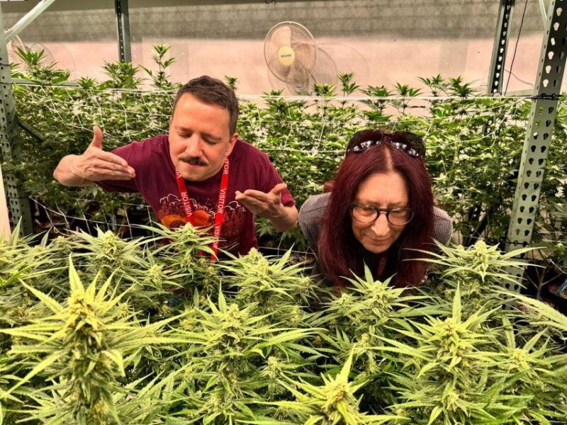 denver-private-luxury-cannabis-tour