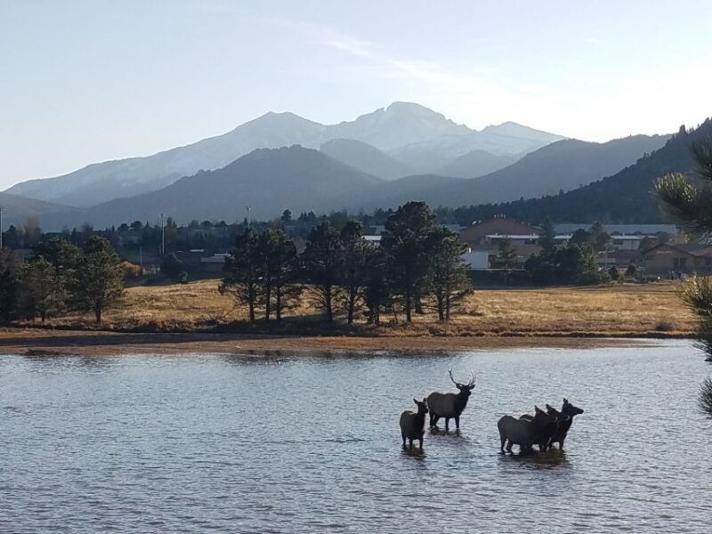 denver-rocky-mountain-national-park-tour-with-picnic-lunch