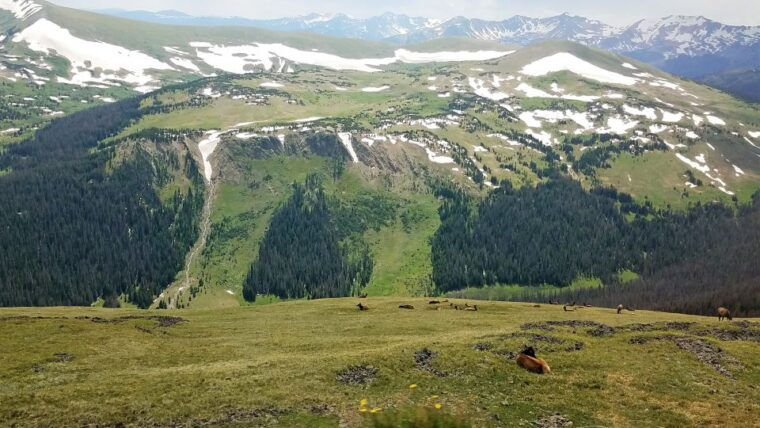 denver-rocky-mountain-national-park-tour-with-picnic-lunch