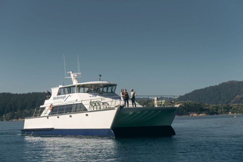 Depart Picton: Marlborough Sounds Afternoon Seafood Cruise - Who Is This Tour Best For?