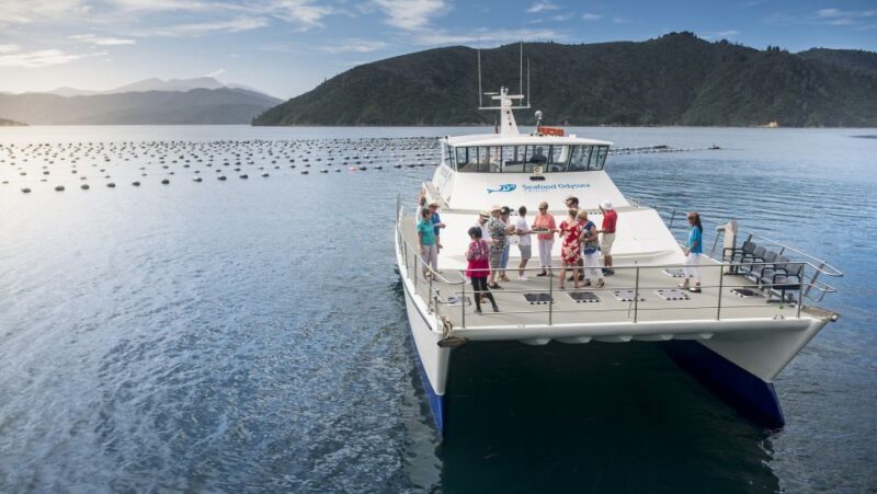 Depart Picton: Marlborough Sounds Afternoon Seafood Cruise - Final Thoughts