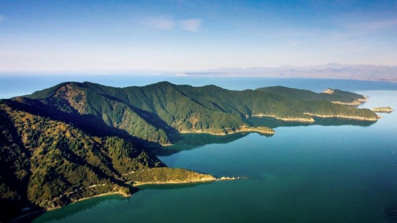Depart Picton: Marlborough Sounds Afternoon Seafood Cruise - FAQ