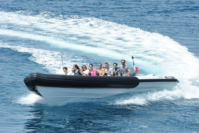 Depart Saint Raphaël: Meet the Dolphins - Who Will Love This Experience?