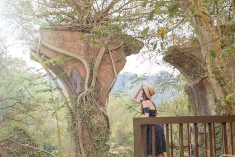 Departing from Taipei or Taichung: Deep travel in Miaoli - Who is This Tour Best For?