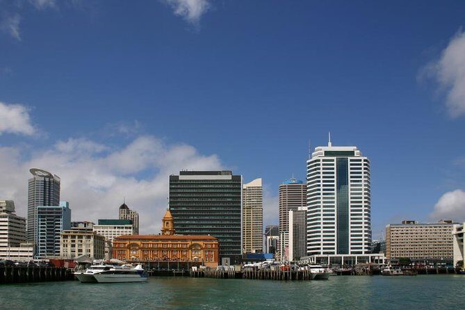 Departure Transfer: Auckland Central City Centre to Auckland Airport - Pricing and Value for Money