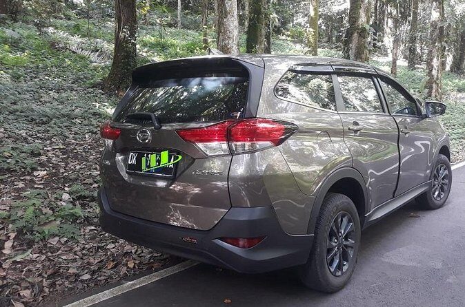 Departure Transfer from Seminyak, Kerobokan to Bali Airport (DPS) - Final Thoughts