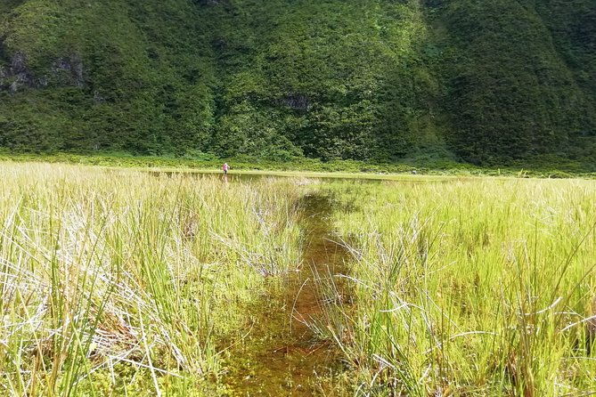 descent-to-caldeira-do-faial-the-perfect-adventure