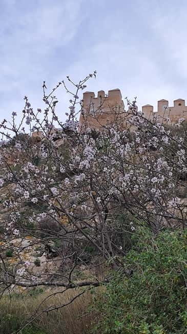 Descubriendo Almería: Un Viaje por la Historia y la Cultura - Final Thoughts