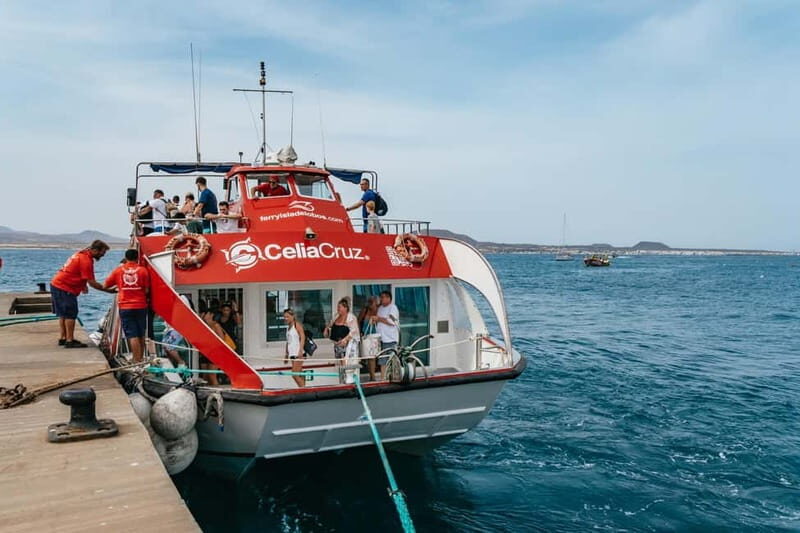Desde Corralejo: Lobos Island Ferry with Optional Transfer - Who This Tour Is Best For