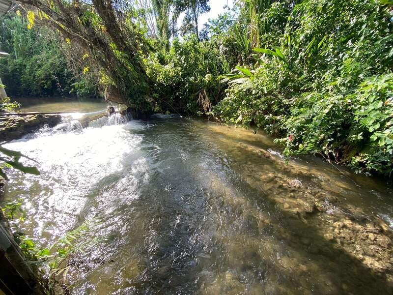 Desde Palenque: Rafting, Caminata en Selva Y Bonampak - Final Thoughts: Is This Tour for You?