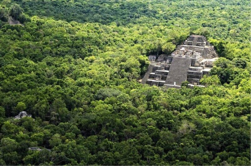 Desde Palenque: Zona Arqueológica Calakmul - FAQs