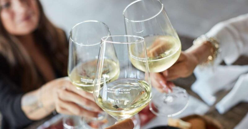 desenzano-lugana-wine-tasting-and-vineyard-tour
