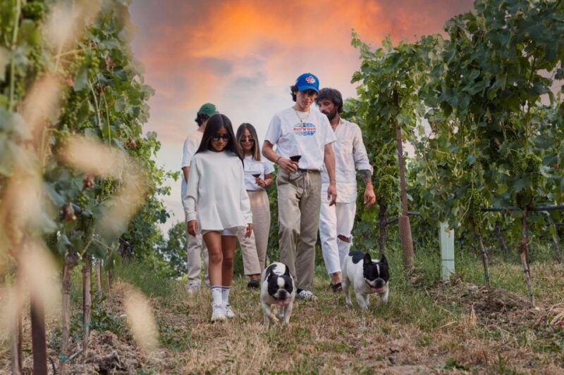 desenzano-lugana-wine-tasting-and-vineyard-tour