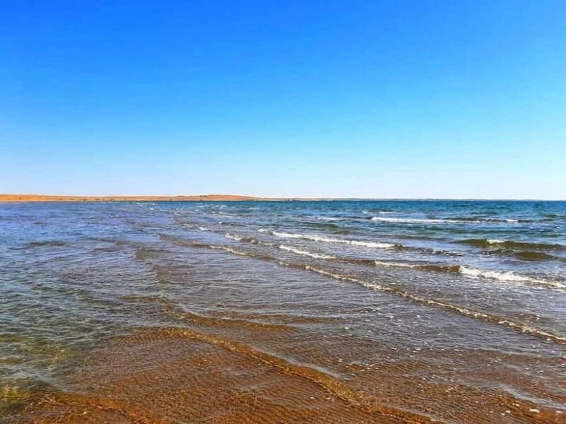 Desert Adventure from Samarkand: Yurt Camp & Aydarkul Escape - Who Will Enjoy This Tour?